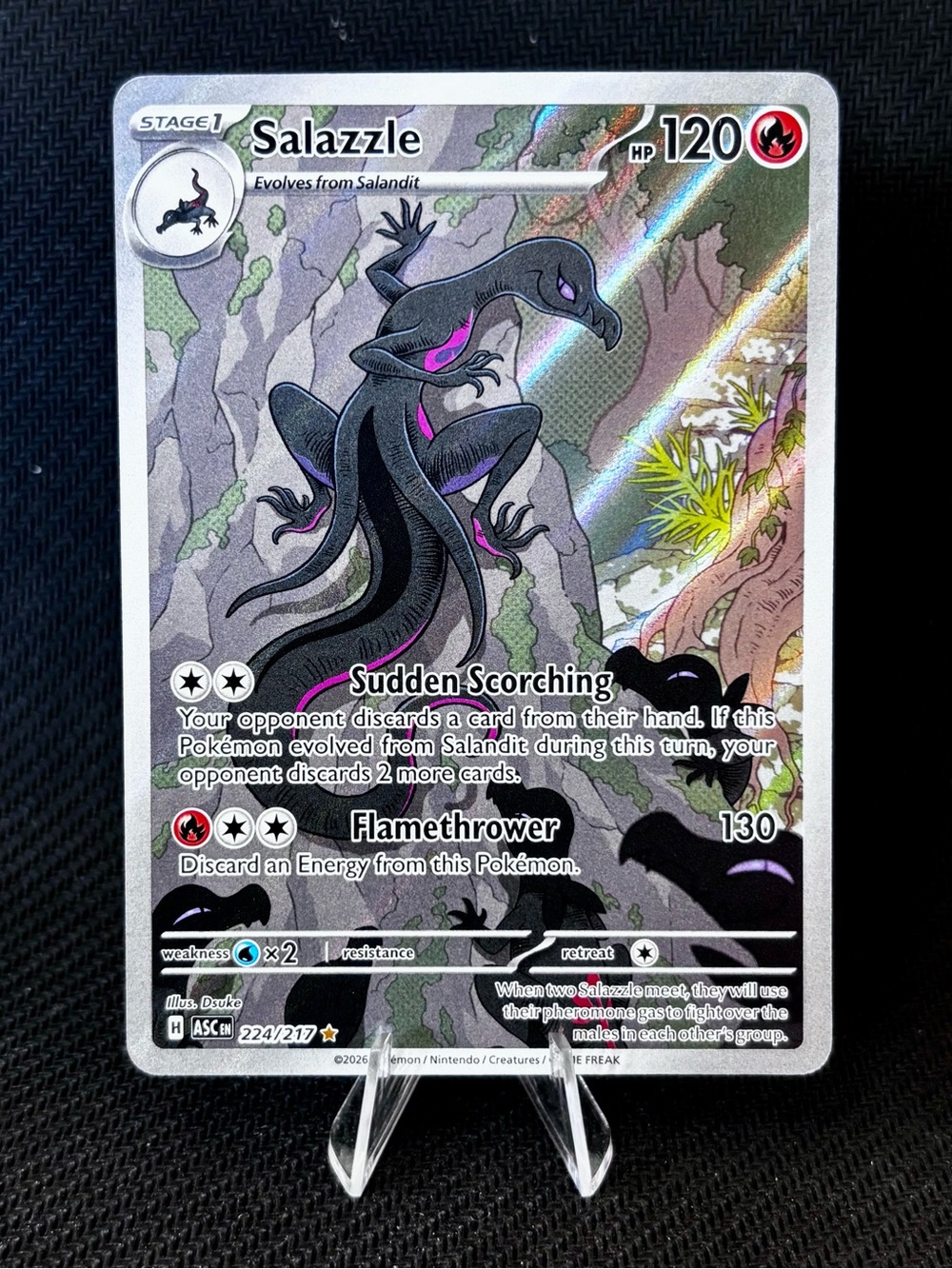 Pokemon Salazzle Holographic Illustration Rare - Ascended Heroes - NM